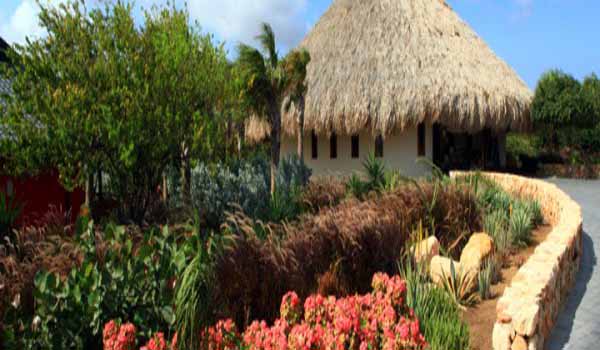 600×350-Curacao-Morena-Loby
