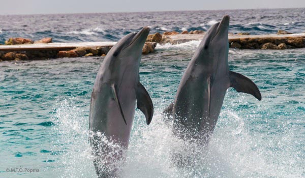 Curaçao