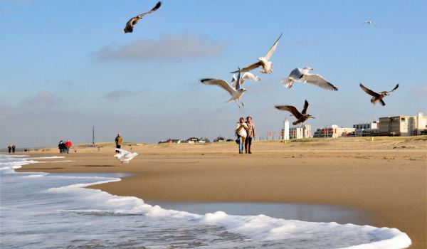 600×350-strandwandeling