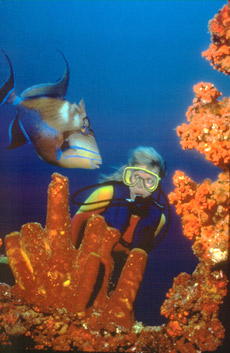 Aruba_underwat-diving