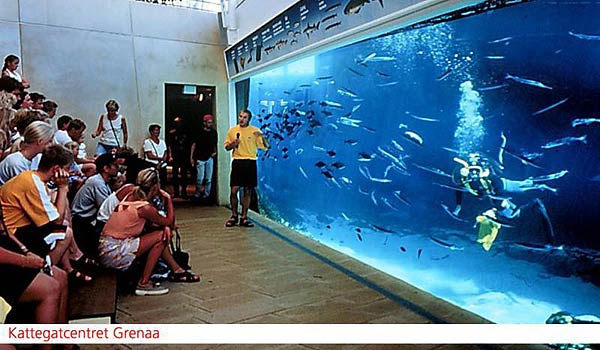 DK-DF-Aqua.jpg