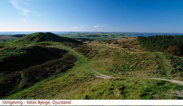 DK-DF-Natuur.jpg