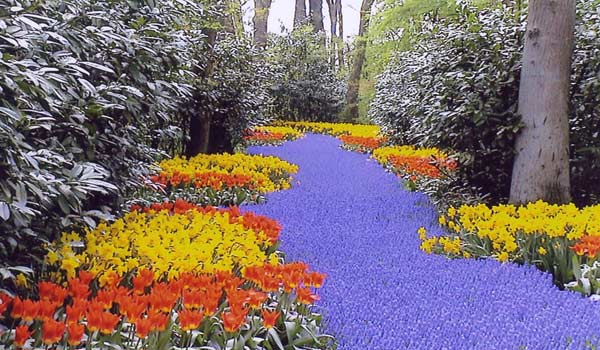 600×350-Keukenhof-01-11.jpg