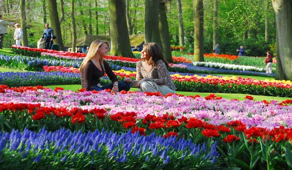 Individuele reizen voor mensen met beperking