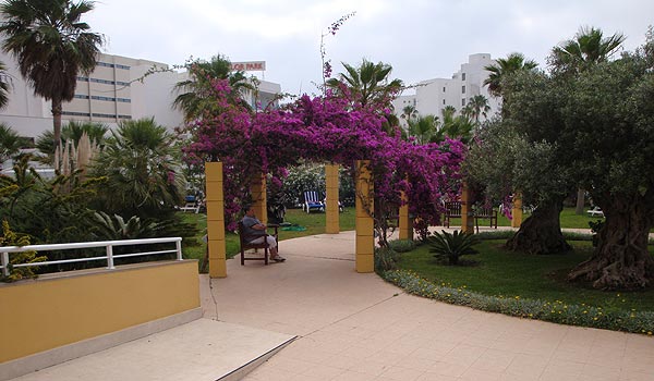600×350-Cala-Milor-Garden-hotel-tuin1.jpg